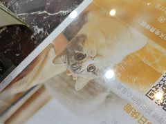-瑞鹏·疫苗·绝育·宠物医院(金沙洲店)