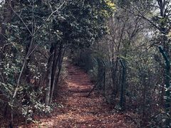 -东钱湖旅游度假区