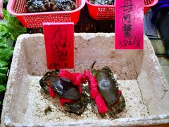 -南庄酒家·海鲜粤菜·25年老字号(环城南路店)
