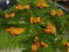 -初花·日本料理