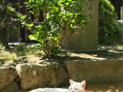 -かさの家(太宰府店)