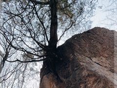 -国家植物园