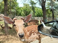 -南京金牛湖风景区