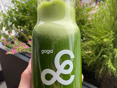 羽衣甘蓝青苹果-gaga(深圳南山益田假日广场店)