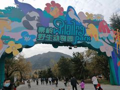 -西安秦岭野生动物园