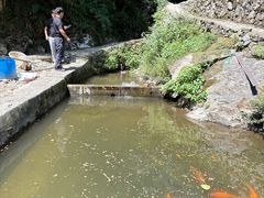 -途中饭店(开化店)