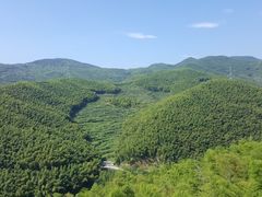 -宁波浙东大竹海景区