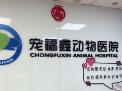 -宠福鑫动物医院(城北分院)