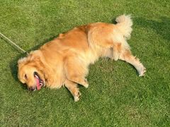 -洋湖国家湿地公园