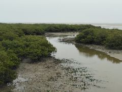 -北海金海湾红树林生态旅游区