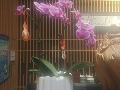 -梅间堂茶馆(绿地缤纷城店)
