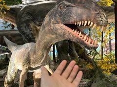 -湖南省地质博物馆