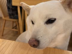 -柴の食堂·日式家庭料理·熊之肆(大学路店)