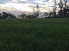 -白鹭湾湿地公园