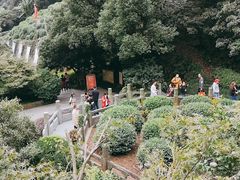 -十八棵（老龙井）御茶园(老龙井店)