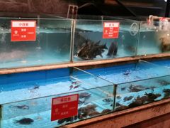 水产区-饭怕鱼(阳光100店)