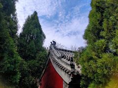 -龙口南山旅游景区