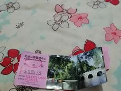 -北陵公园