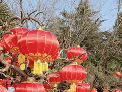 -郑州市动物园