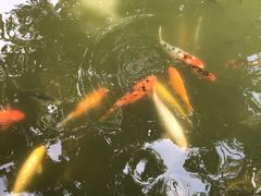 -珠海圆明新园