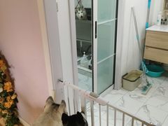 -Husky Go! 哈士奇体验馆·宠物咖啡厅狗咖