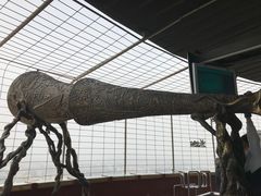 -中央广播电视塔