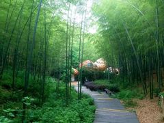 -天目湖山水园
