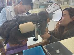 -派美特宠物医院·核磁CT·骨科肿瘤·疑难转诊(沈农禾丰店)