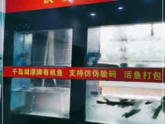 门面-全乐鱼馆·淳牌有机鱼直营店