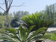 -沈阳植物园