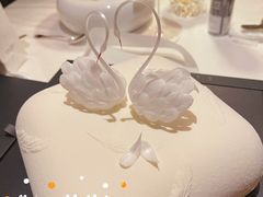 -BLACKSWAN黑天鹅(环球店)