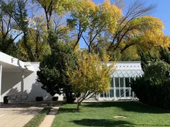 -三里屯东五街银杏大道