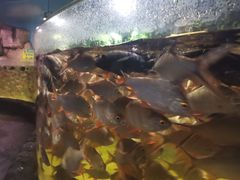 -多彩贵州城极地海洋世界