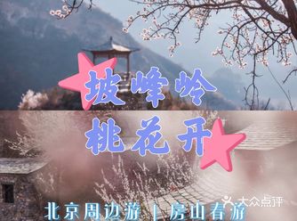 北京周边游 | 房山坡峰岭赏桃花