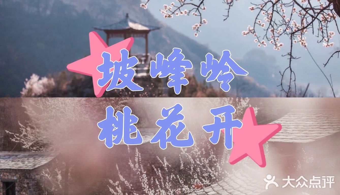 🌈北京周边游 | 房山坡峰岭赏桃花