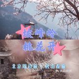 🌈北京周边游 | 房山坡峰岭赏桃花