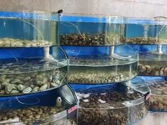 水产区-蓝珊甄选海鲜自助·火锅大排档(近阿那亚店)