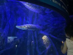 -江和美海洋公园