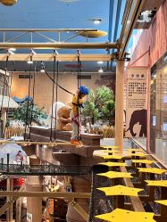 -卡通尼·Safari非洲探索乐园·生日会(金桥国际商业广场店)