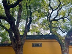 -西园戒幢律寺