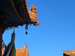 -大召无量寺