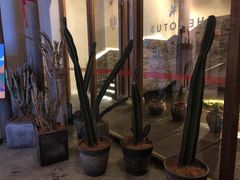 -几荷·恰似故人来(秀水广场店)