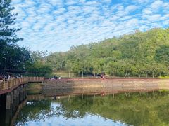 -神光山国家森林公园