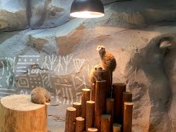 -Zoolung Zoolung动物主题公园(海信广场店)