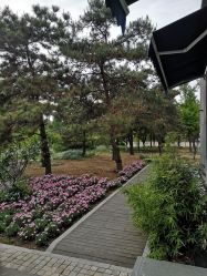 -爱儿美儿童摄影(奥森公园店)