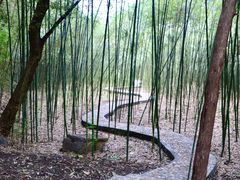 -四门塔风景区