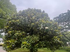 -上海虹桥迎宾馆