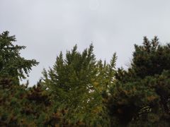 -玲珑塔公园
