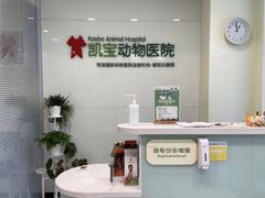 -悦宠凯宝动物医院·牙科·皮肤科(朝阳北路店)