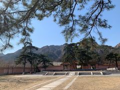 -康陵正德春饼宴26号